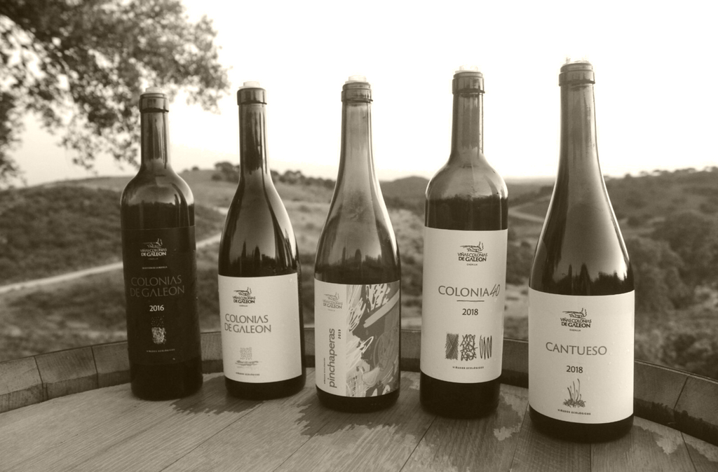 El vino blanco no es solo para el verano
