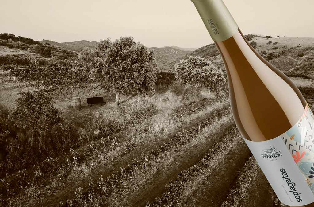 Soplagaitas, un vino blanco afrutado con mucho que decir