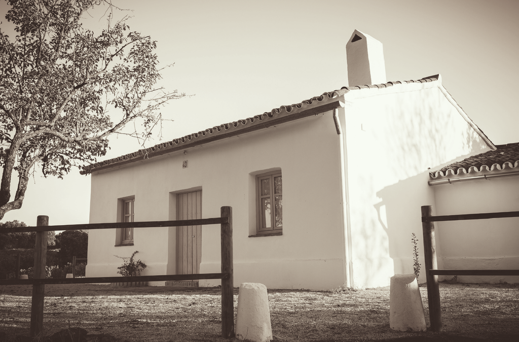 El origen del vino en América es sevillano